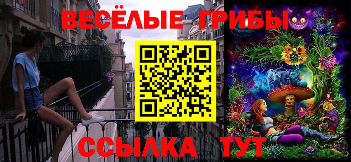 Галлюциногенные грибы мицелий  Галлюциногенные грибы Psilocybe  Вход с VPN  Туймазы 